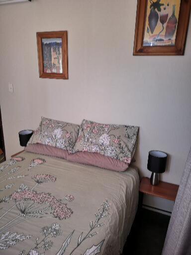 Mountain Jade Backpackers,Private Rooms & Studios Hokitika Esterno foto